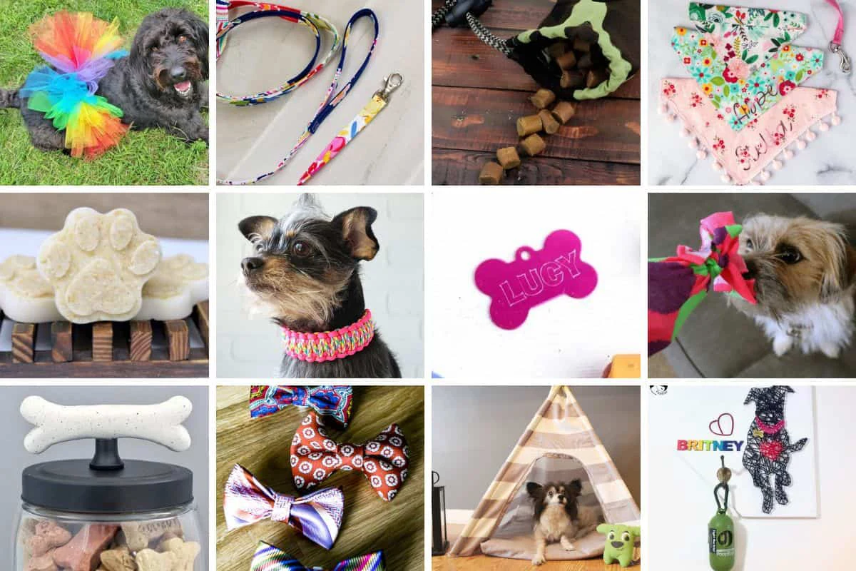 DIY Small Business Ideas - Pet Accessories