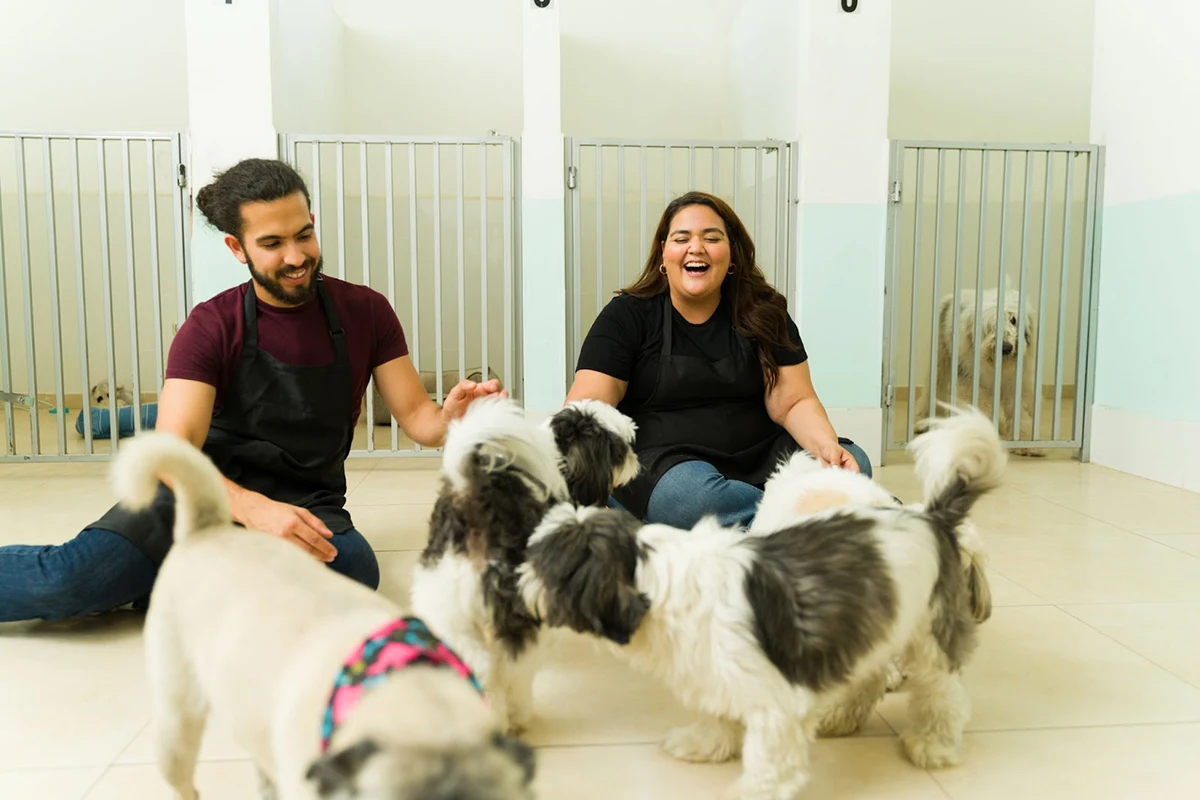 Pet Boarding Business