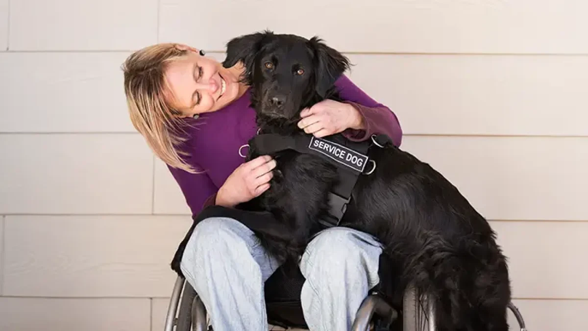 Therapy Dog Training Business